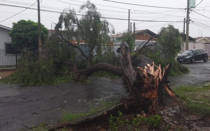 Chuva forte provoca 21 ocorrências em Campinas em dia de recorde histórico